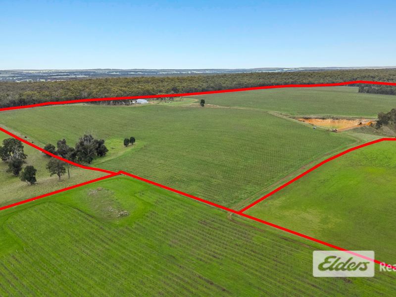 Lot 226 &/248 Wagner Road, Scotts Brook WA 6244