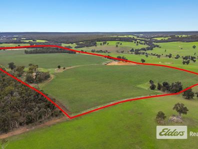 Lot 226 &/248 Wagner Road, Scotts Brook WA 6244