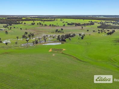 Lot 226 &/248 Wagner Road, Scotts Brook WA 6244