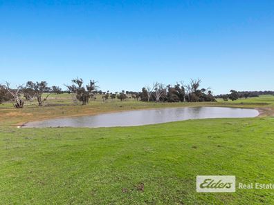 Lot 226 &/248 Wagner Road, Scotts Brook WA 6244