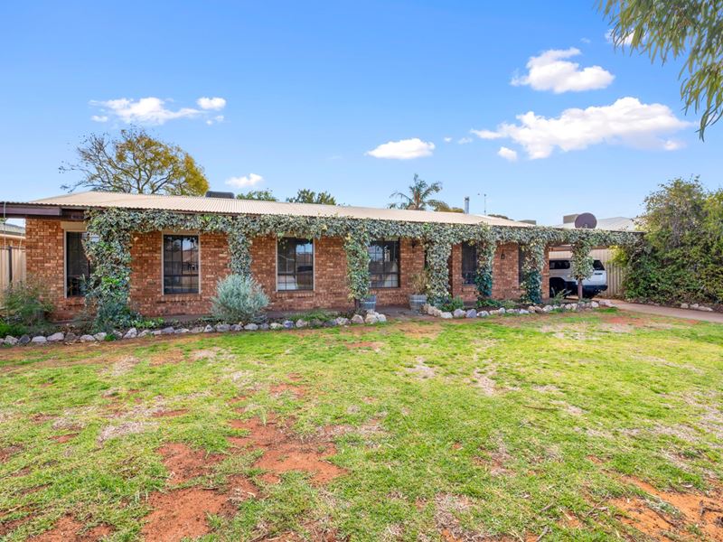 6 Trythall Place, Hannans WA 6430