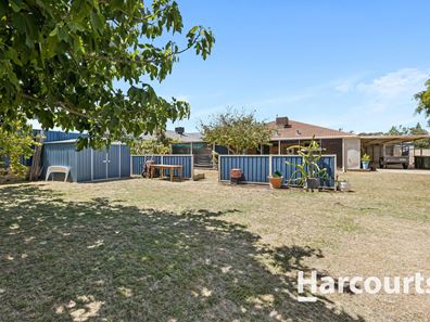 141 Tapping Way, Quinns Rocks WA 6030
