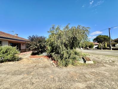 47 Blantyre Street, Katanning WA 6317