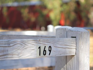 169 Hazelmere Circus, Hazelmere WA 6055