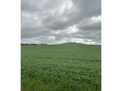 Lot 65 Forrester  Road, Mount Erin WA 6532