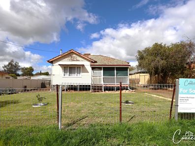 8 Perina Way, Northam WA 6401
