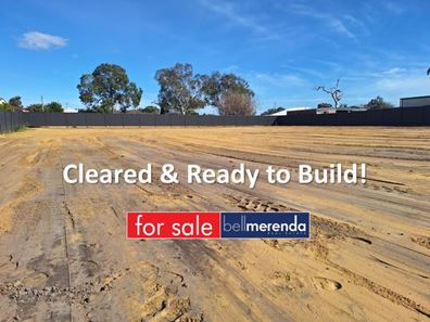 63 Eudoria Street, Gosnells WA 6110