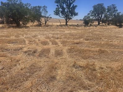 Lot 4,  Spencers Brook Road, Northam WA 6401