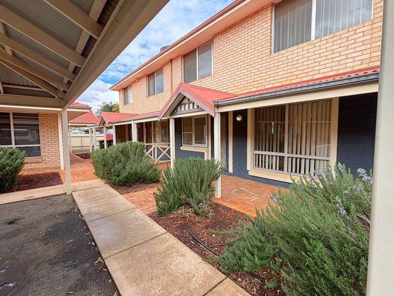 8/243 Piccadilly Street, West Lamington