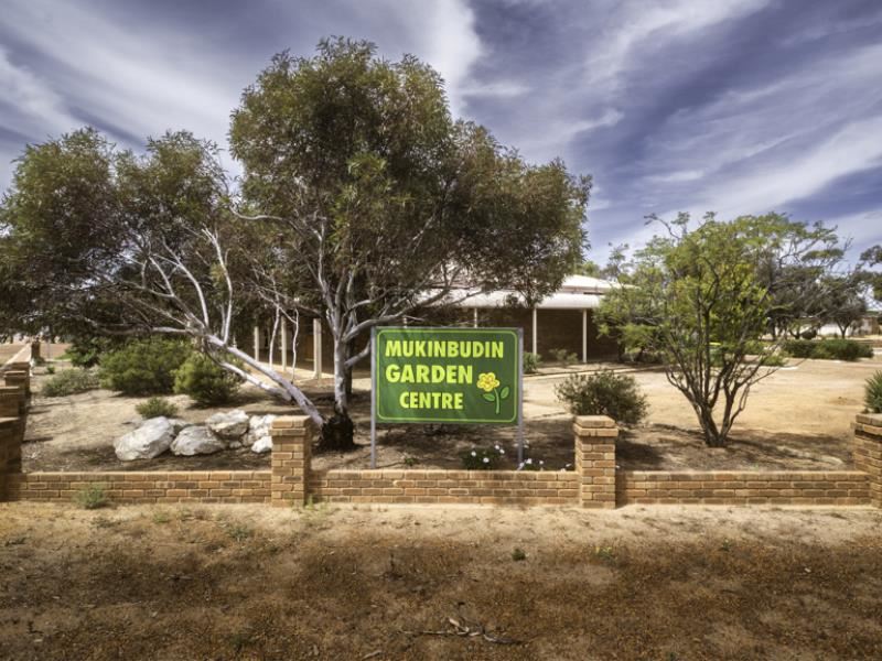 53 Shadbolt Street, Mukinbudin