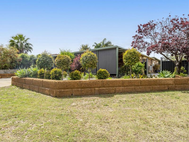 24 Anaconda Drive, Gosnells WA 6110