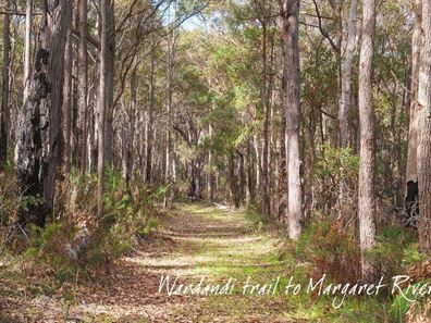 Proposed Lot 236 McDermott Parade, Witchcliffe WA 6286