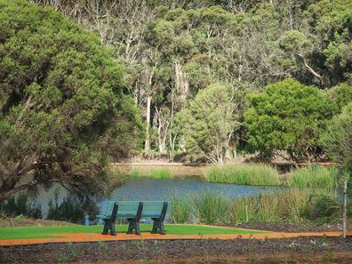 50 Cockatoo Loop, Vasse WA 6280