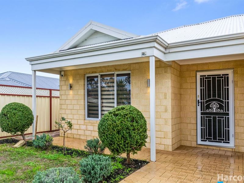 89 Shiraz Boulevard, Pearsall