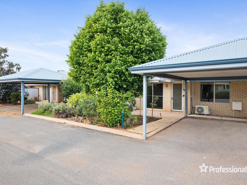 31/3 Great Eastern Highway, Somerville