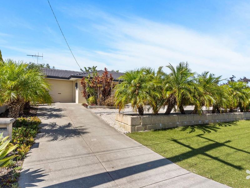 45 Ringarooma Way, Willetton