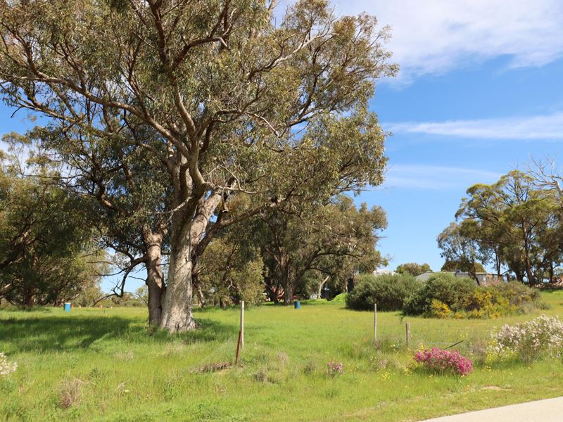 Lot 59 Cudliss Close, Baldivis