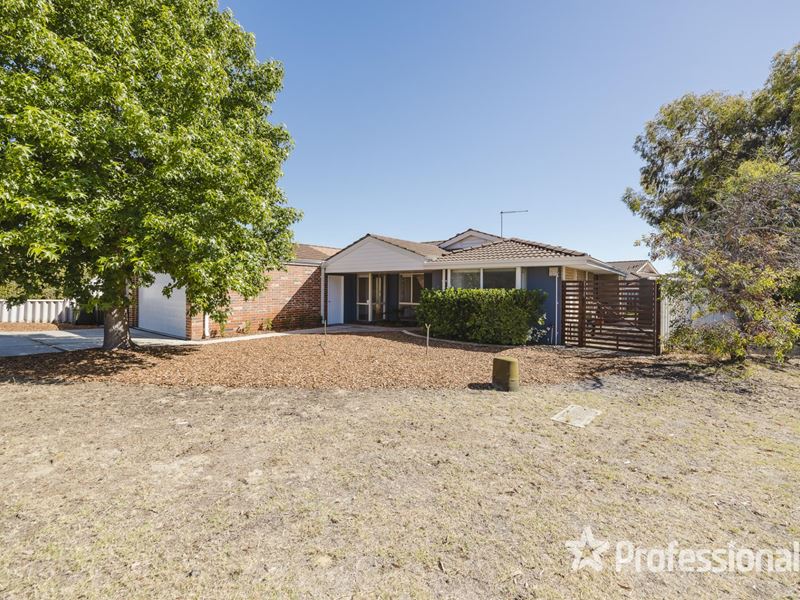 42 Frangipani Loop, Marangaroo WA 6064