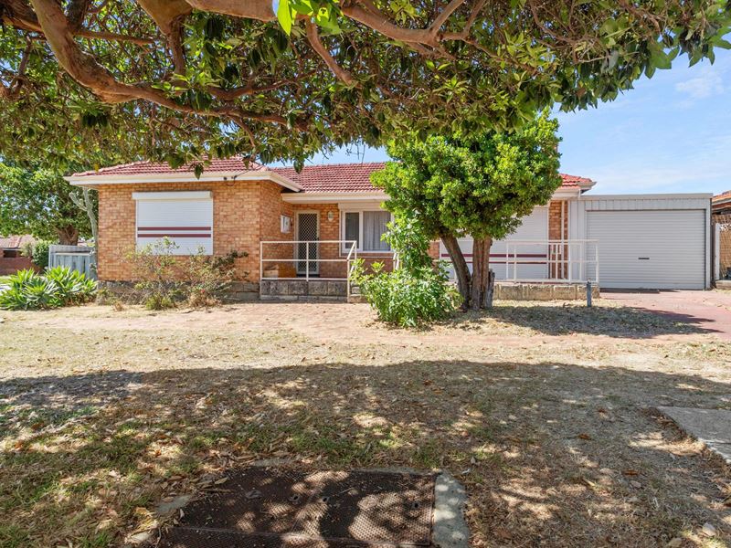 41 Harrison Street, Balcatta WA 6021