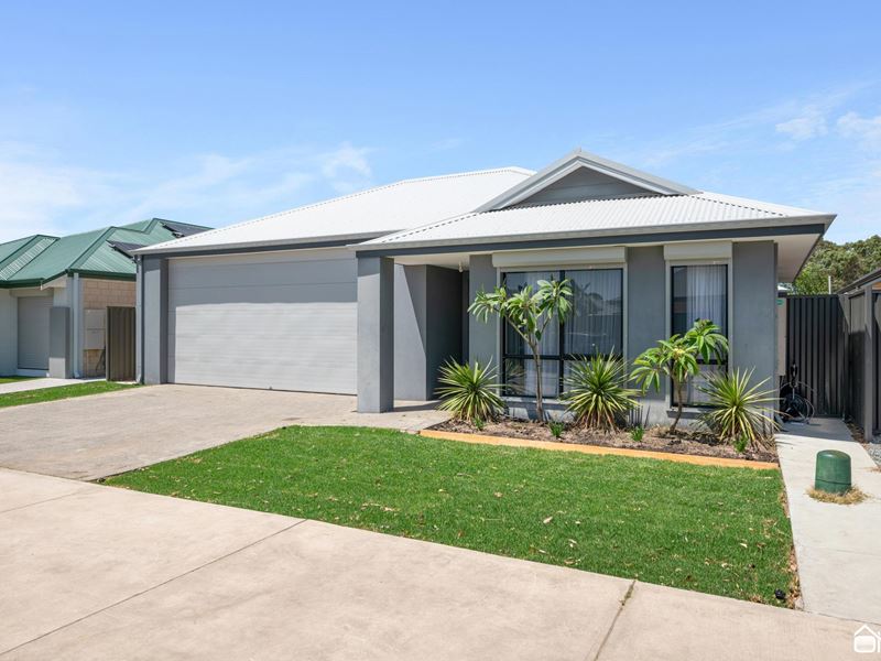 12 Lyrebird Street, Wellard WA 6170