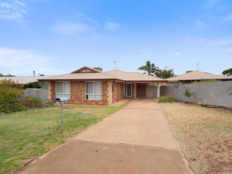 1/2 Lyall Street, Lamington