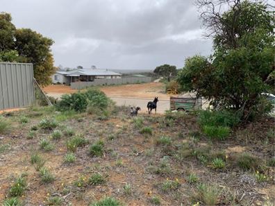 33 France Street, Hopetoun WA 6348