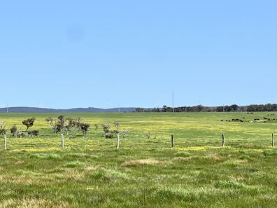 Lot 250,  STAGE 2 - Albany Views Private Estate - Albany Views Private Estate, Drome, Albany WA 6330