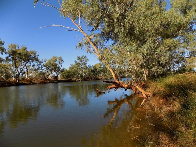 West Lyons River