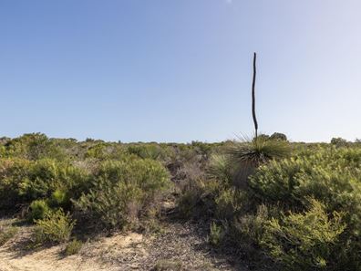 Lot 207 Belinda Loop, Jurien Bay WA 6516