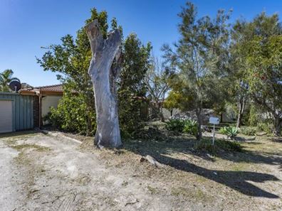 21 Kultown Drive, Waggrakine WA 6530