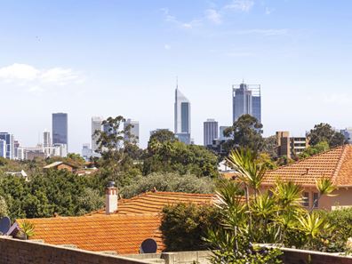 20 Hill View Road, Mount Lawley WA 6050