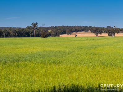 307 Chinganning Road, Woottating WA 6562