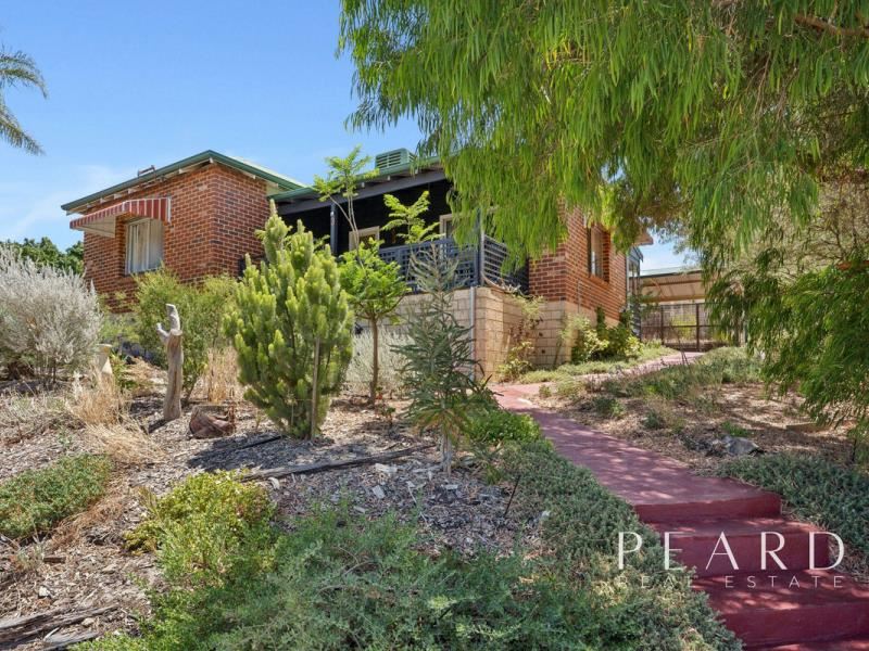 3 Pinedale Street, East Victoria Park WA 6101