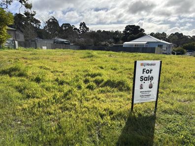 19 Moore Street, Collie WA 6225