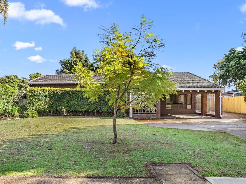 17 Findlay Road, Leeming WA 6149