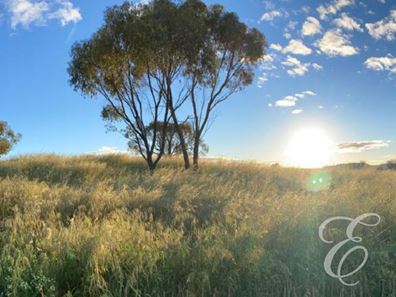 90 Red Swamp Place, York WA 6302