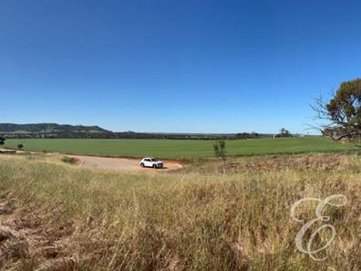90 Red Swamp Place, York WA 6302