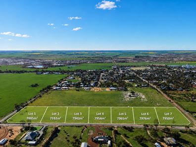 1 - 7 Watts, Cunderdin WA 6407