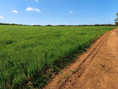 3042 Wilding Road, Wongan Hills WA 6603