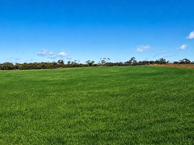3042 Wilding Road, Wongan Hills WA 6603