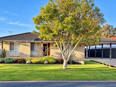 17 Black Swan Drive, West Busselton WA 6280
