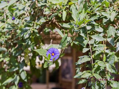 14 Werloo Court, Leda WA 6170