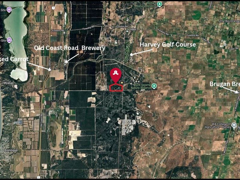 Lot 99 Boonilup Road, Myalup WA 6220