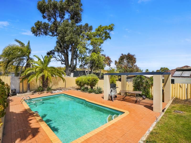 16 Seabird Place, Craigie WA 6025