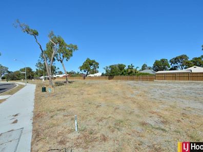 Lot 389, 17 Pallid Road, Coodanup WA 6210