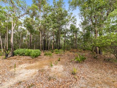 42 Orchid Place, Nannup WA 6275