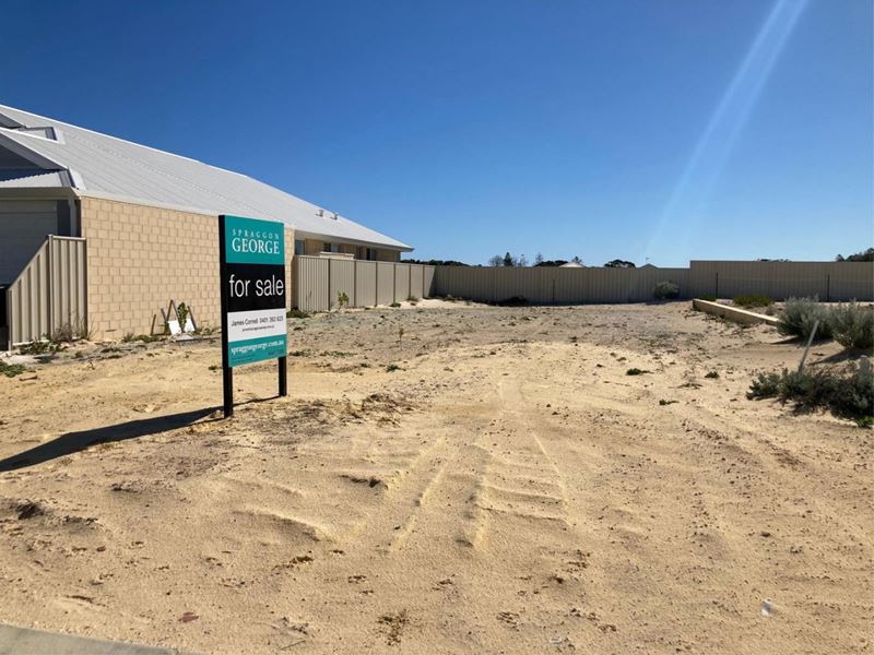 22 Seabreeze Drive, Yanchep