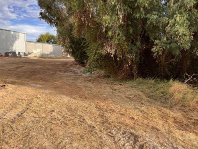 26A Marmion Street, Donnybrook WA 6239