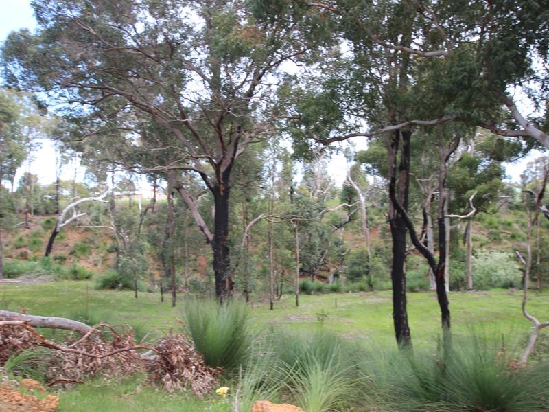 Lot/39 Nanga Brook Road, Waroona