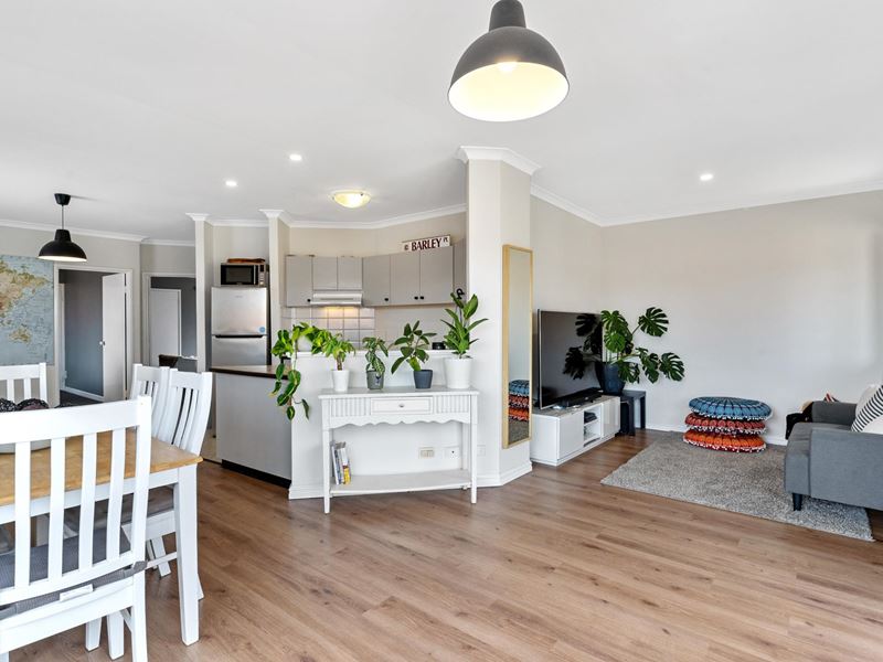 19/825 Beaufort Street, Inglewood